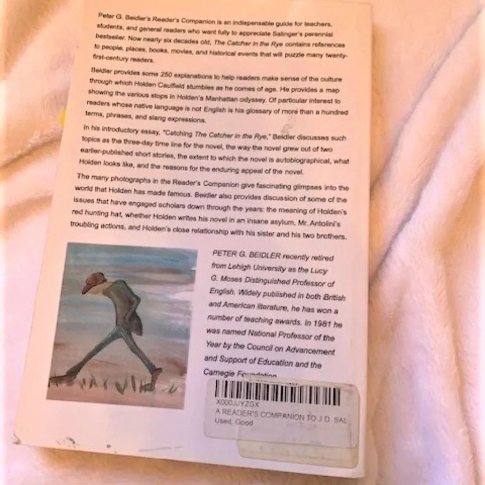 Set 5 Study Guides for The Catcher in the Rye by JD Salinger - Picture 8 of 9